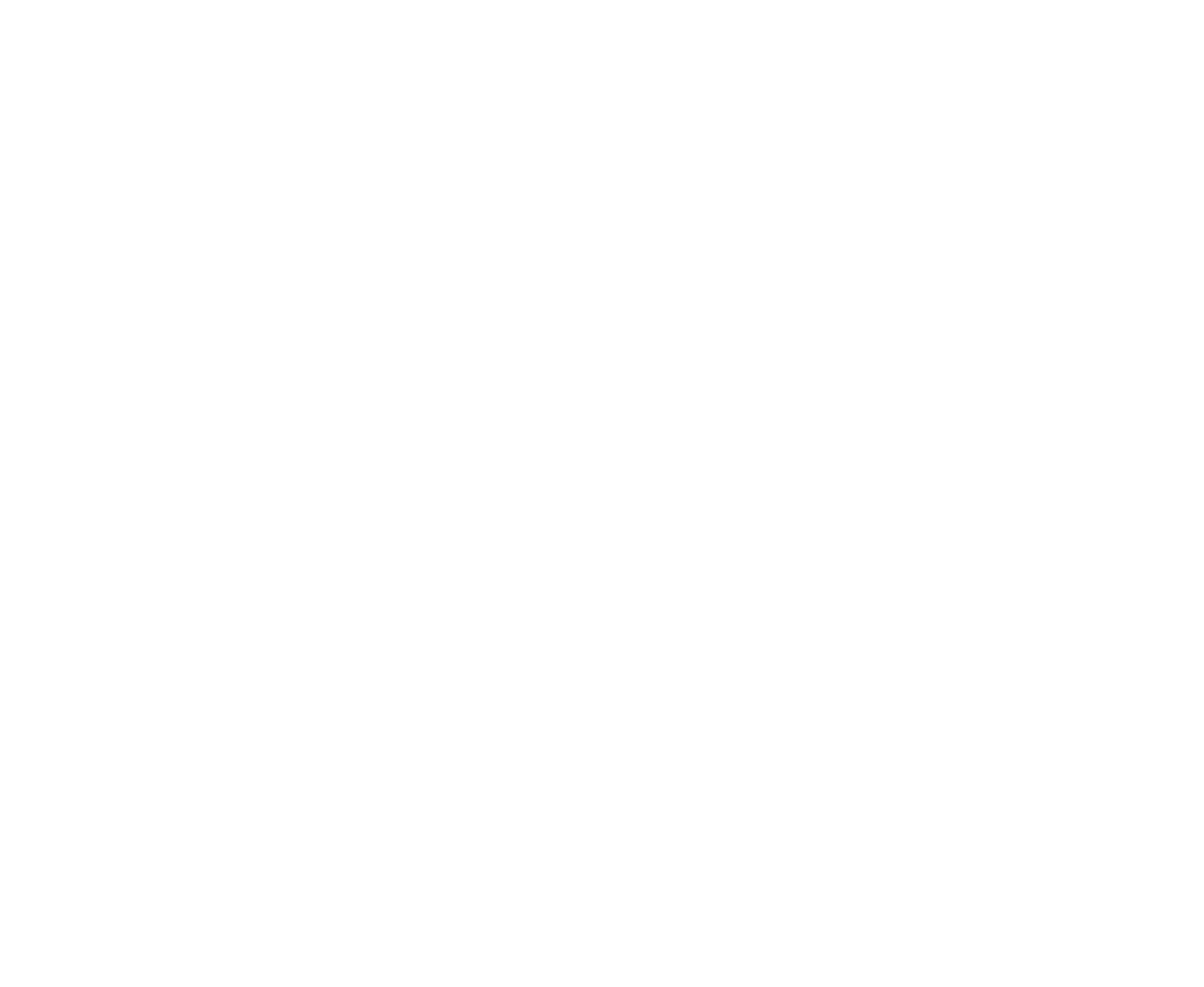 Rogue Bird Studio